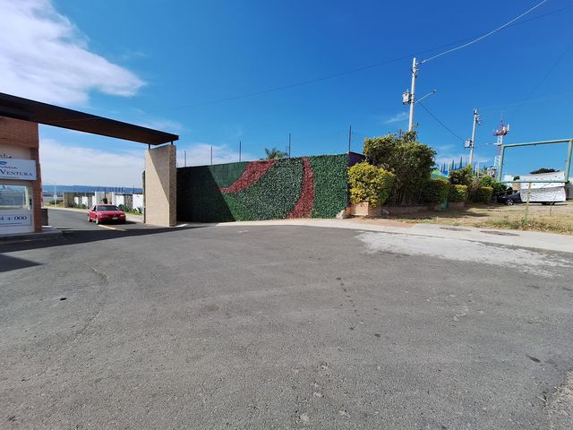 place photo 27
