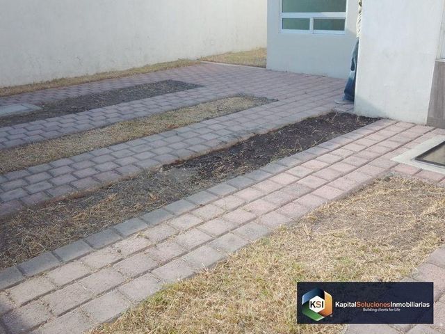 place photo 24