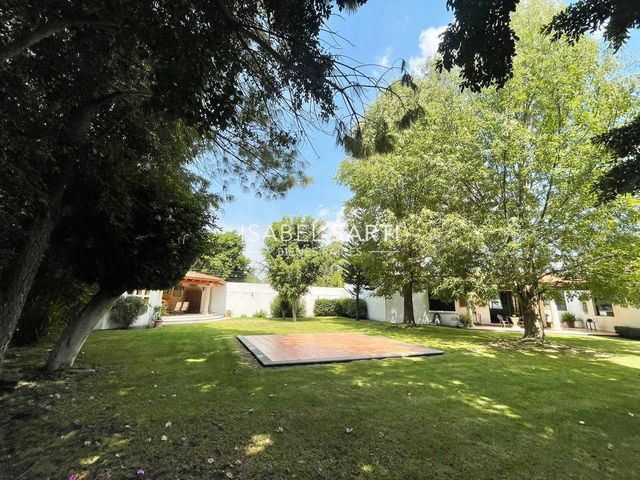 place photo 36