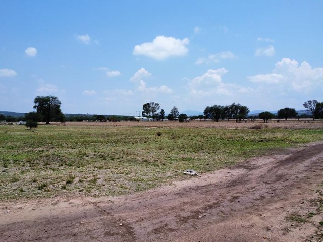 place photo 29