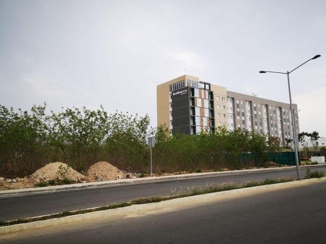 place photo 6