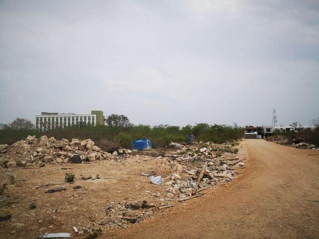 place photo 9