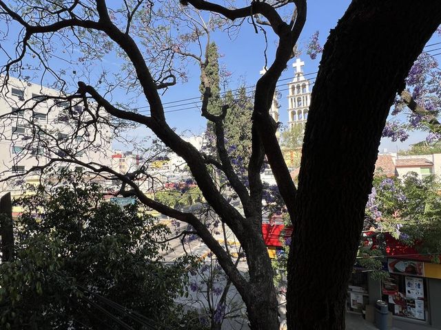 place photo 17