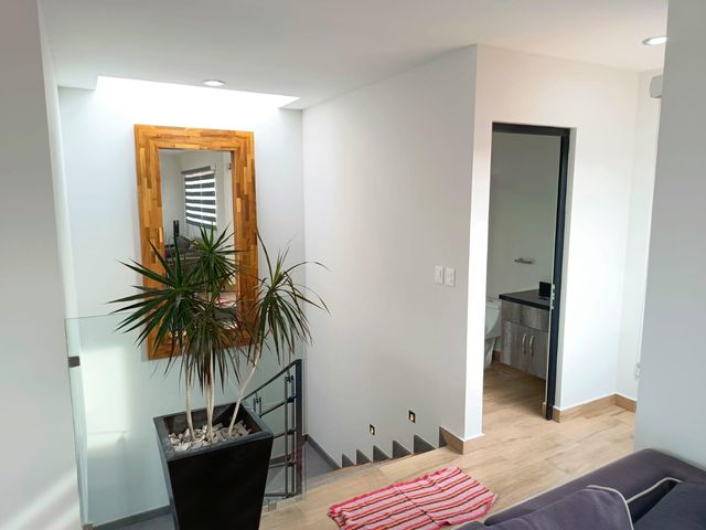 place photo 39