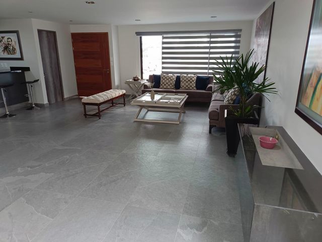 place photo 46