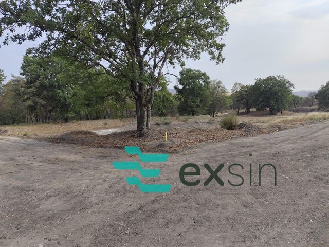 place photo 36