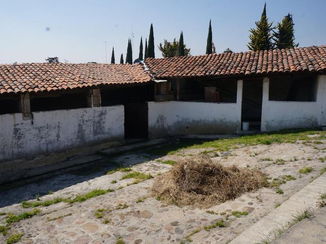 place photo 50
