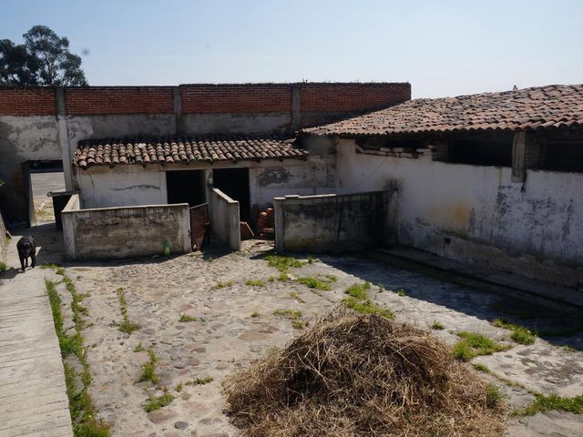 place photo 40