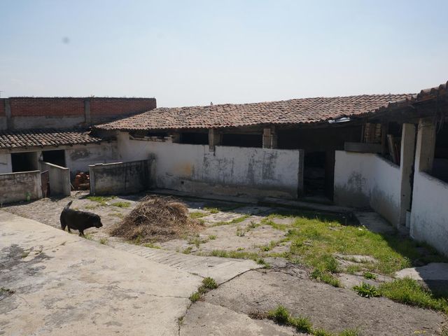 place photo 42