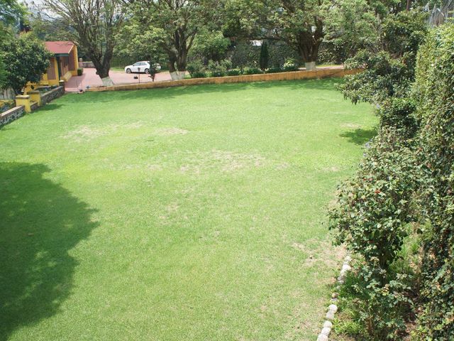 place photo 54