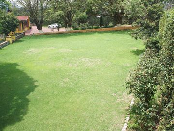 place photo 54