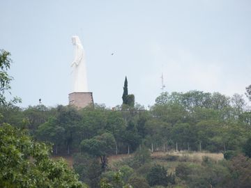 place photo 59
