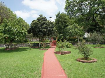 place photo 68