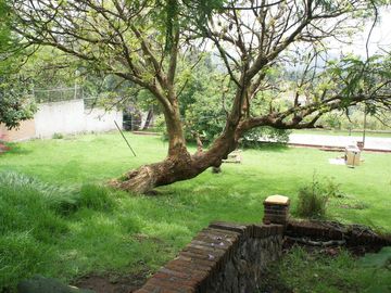 place photo 53