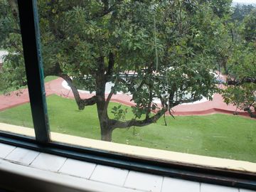 place photo 38