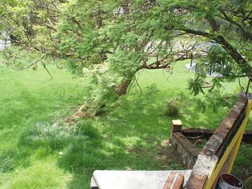 place photo 56
