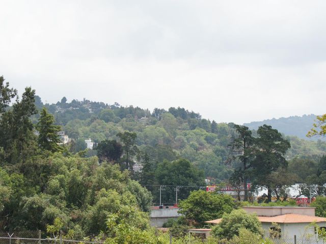 place photo 60