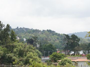 place photo 60