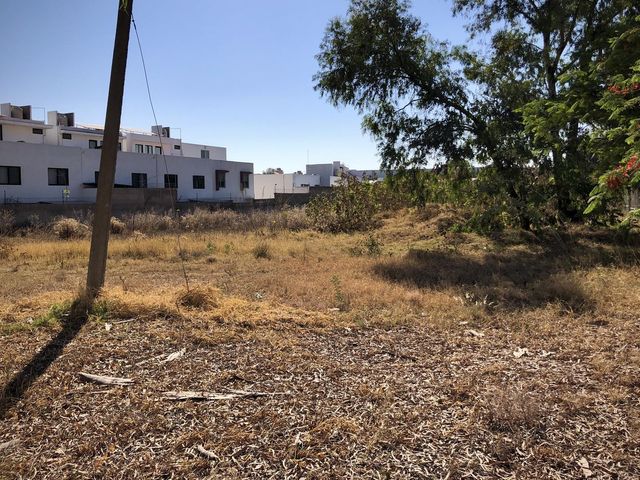 place photo 15