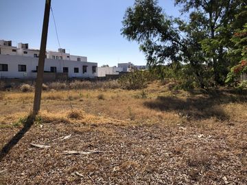 place photo 15