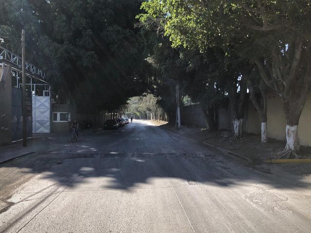 place photo 21