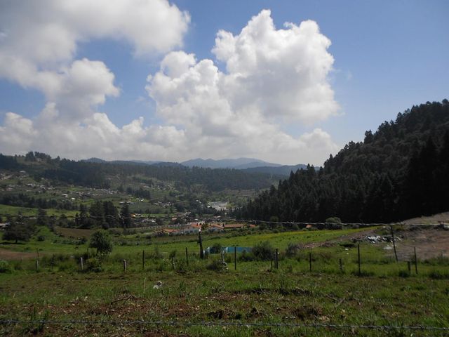 place photo 42