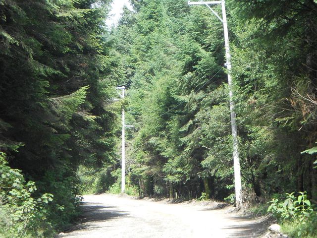 place photo 32