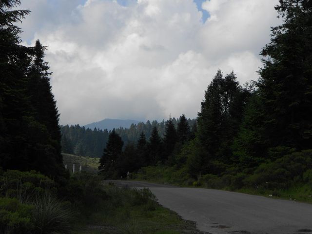 place photo 28