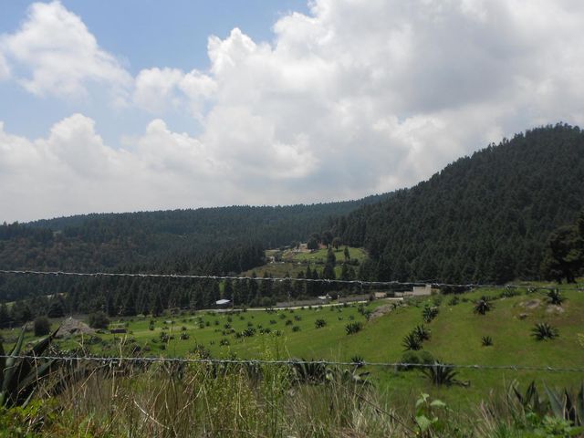 place photo 65