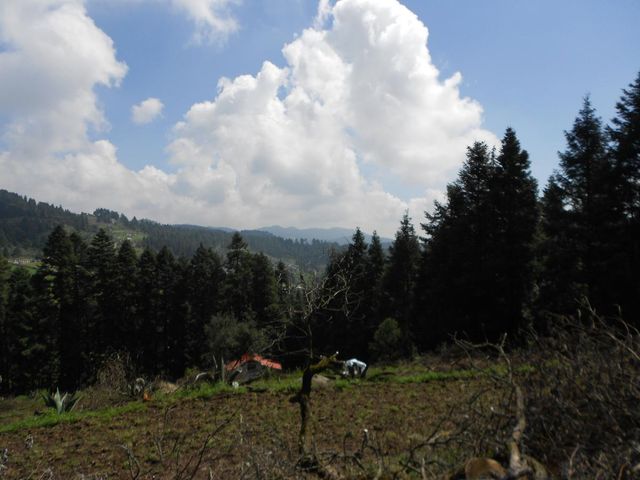 place photo 47