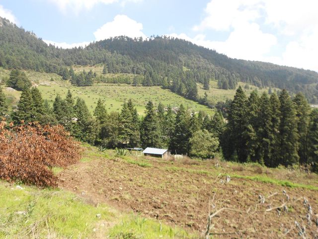 place photo 50