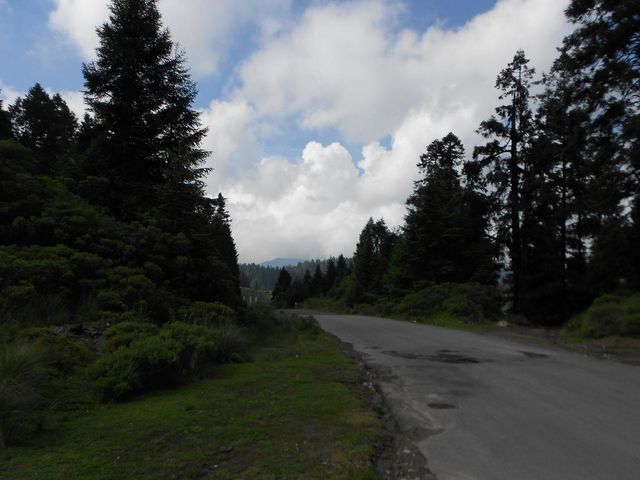 place photo 29