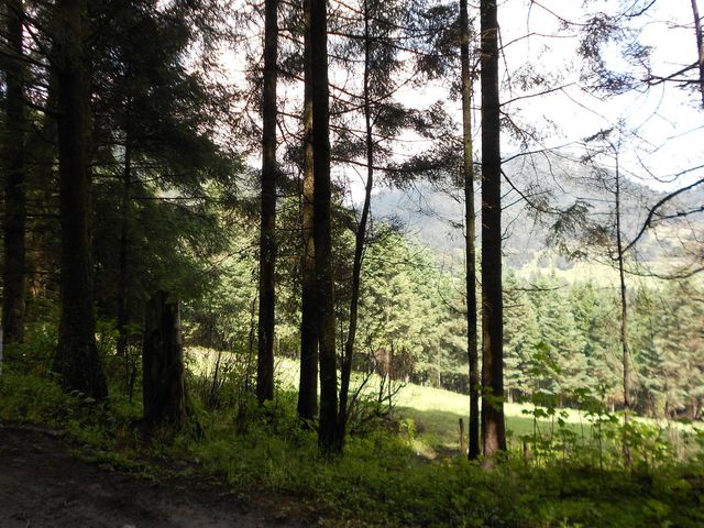 place photo 36