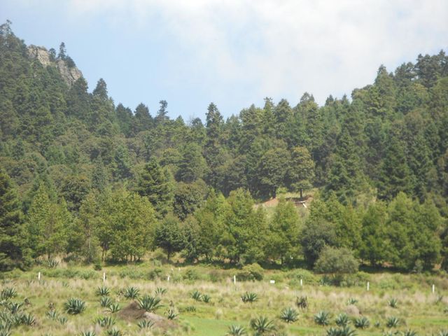 place photo 64