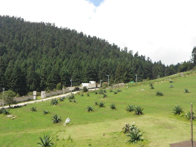 place photo 55