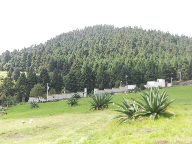 place photo 54