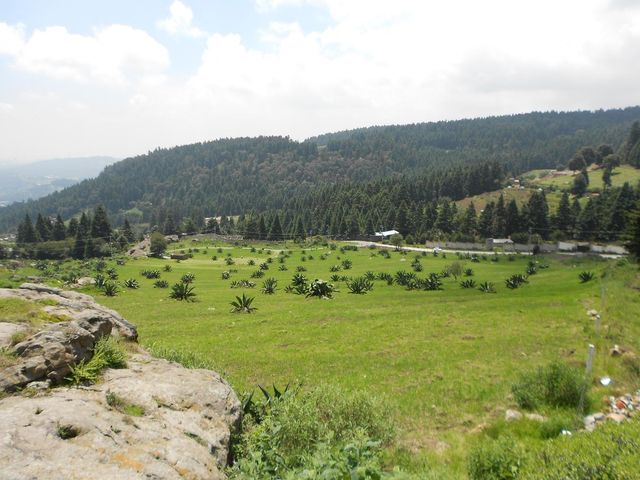 place photo 58