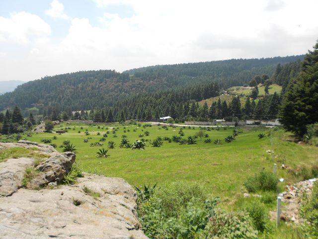 place photo 57