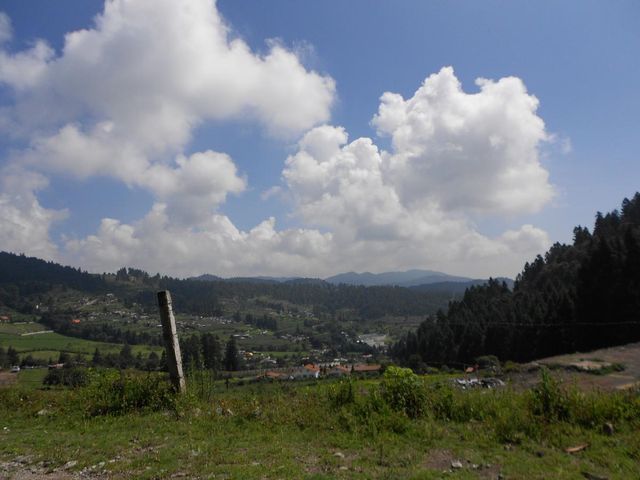 place photo 40