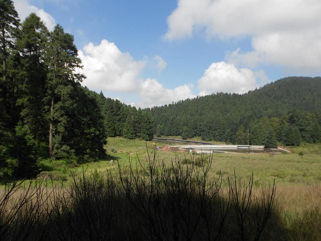 place photo 22