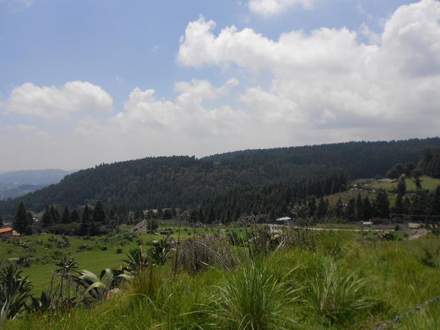 place photo 62