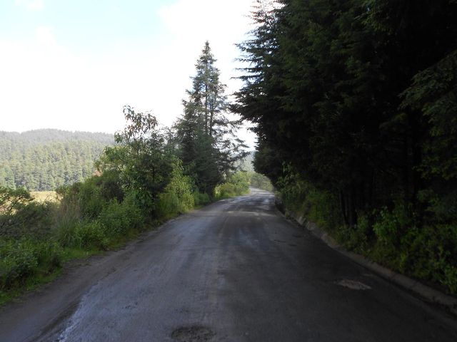 place photo 24