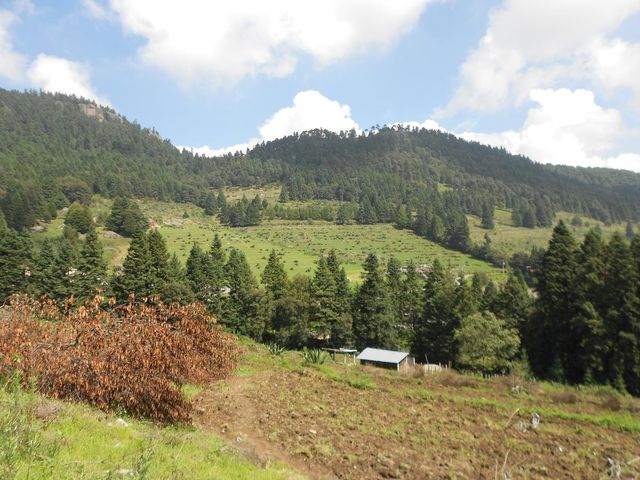 place photo 52