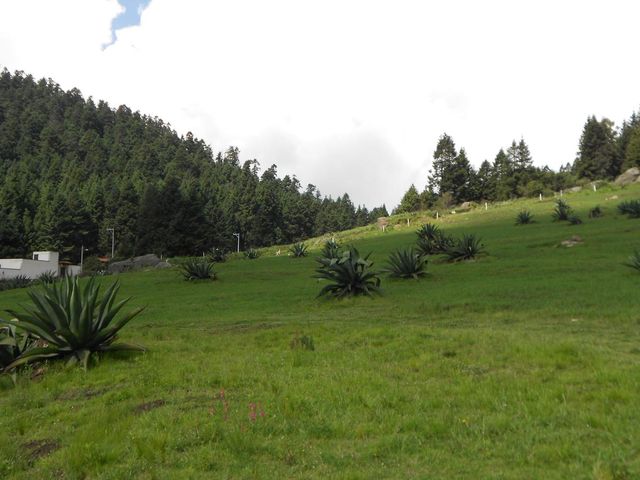 place photo 53