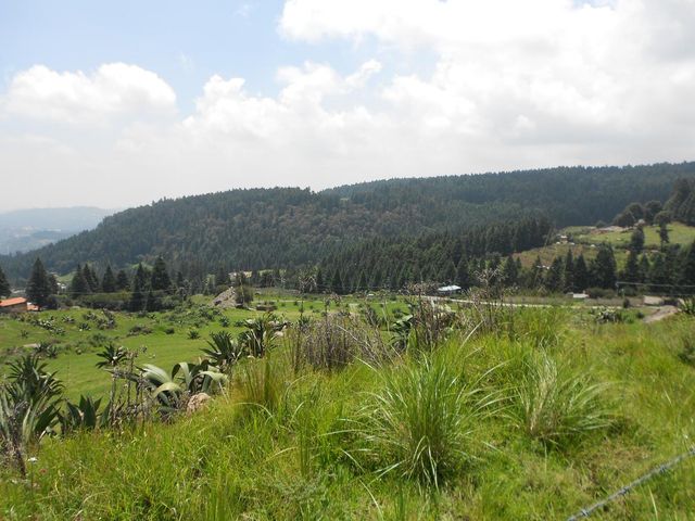 place photo 61