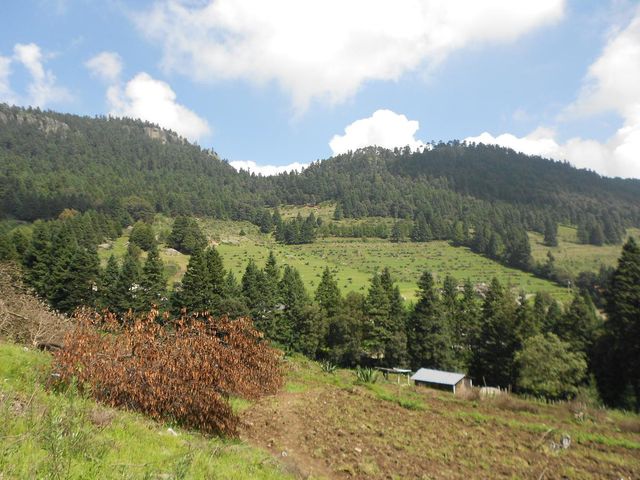 place photo 44