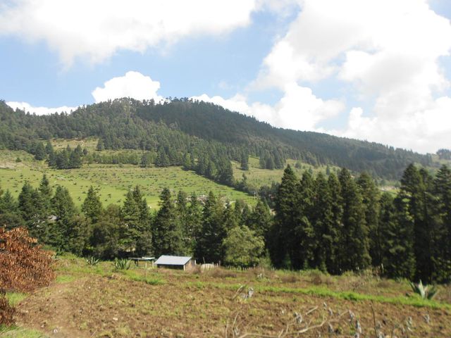 place photo 45