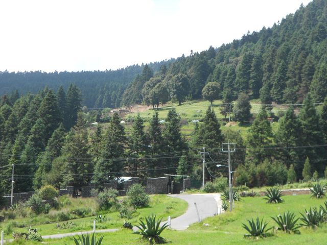 place photo 63