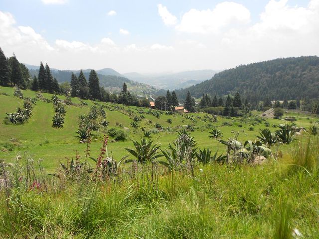 place photo 60