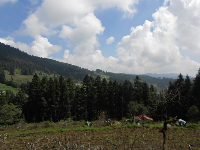 place photo 46